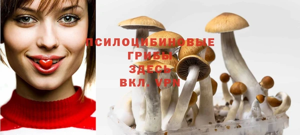 спайс Балахна